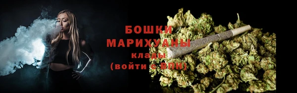 сатива Богданович
