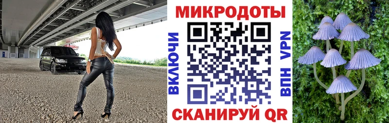 Псилоцибиновые грибы Psilocybine cubensis  что такое   Демидов 